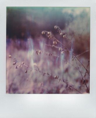 Noemi Heidel photographer Berlin shot with Polaroid SX-70