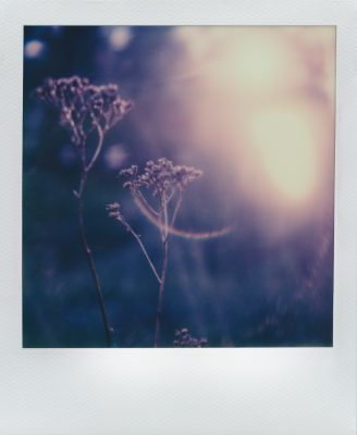 Noemi Heidel photographer Berlin shot with Polaroid SX-70