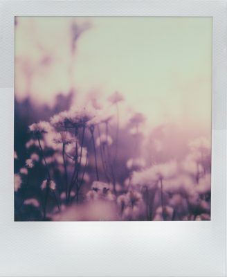 Noemi Heidel photographer Berlin shot with Polaroid SX-70