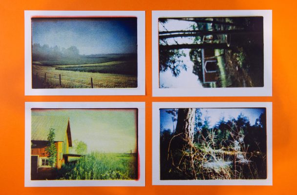 lomo vs riso