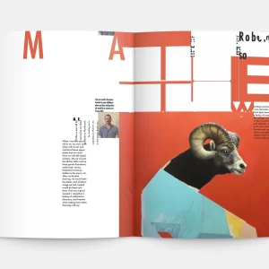 Plastikcomb-9-spread